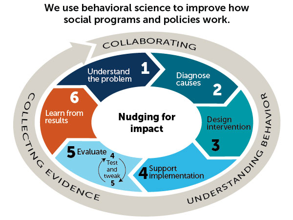 insights to behavior