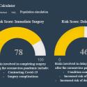 Elective Surgery Patient Risk Score Calculator