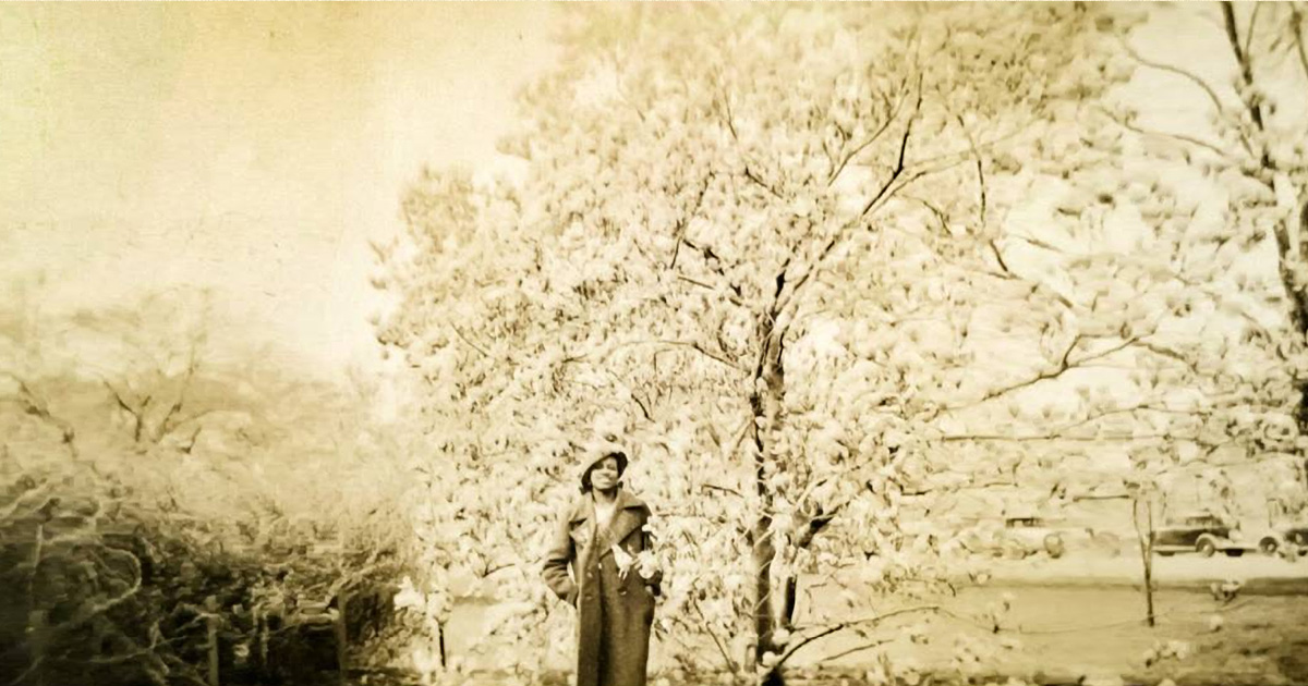 Teresa Banks, Lauren’s grandmother, under the cherry blossoms in  Washington, DC in the 1930s.