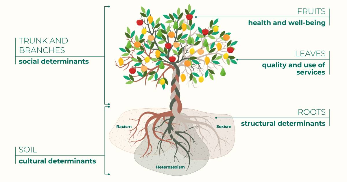 This graphic uses a growing tree to symbolize distinct levels of the determinants of health equity, starting with ideological “soil” and ending with health and well-being, or the “fruits.” Culturally oppressive ideologies such as racism, sexism, and heterosexism overlap in the soil in which the tree grows, and intersect in all other parts of the tree. In turn, they affect structural determinants of health, social determinants of health, quality and use of services, and finally, health and well-being experienced by individuals. We focus on racism, sexism, and heterosexism to provide a clear illustration, recognizing that this is an oversimplification of intersectionality and how it operates. Systems of oppression not pictured here include, but are not limited to, classism, ageism, ableism, fatphobia, ethnocentrism, colorism, and cisgenderism.