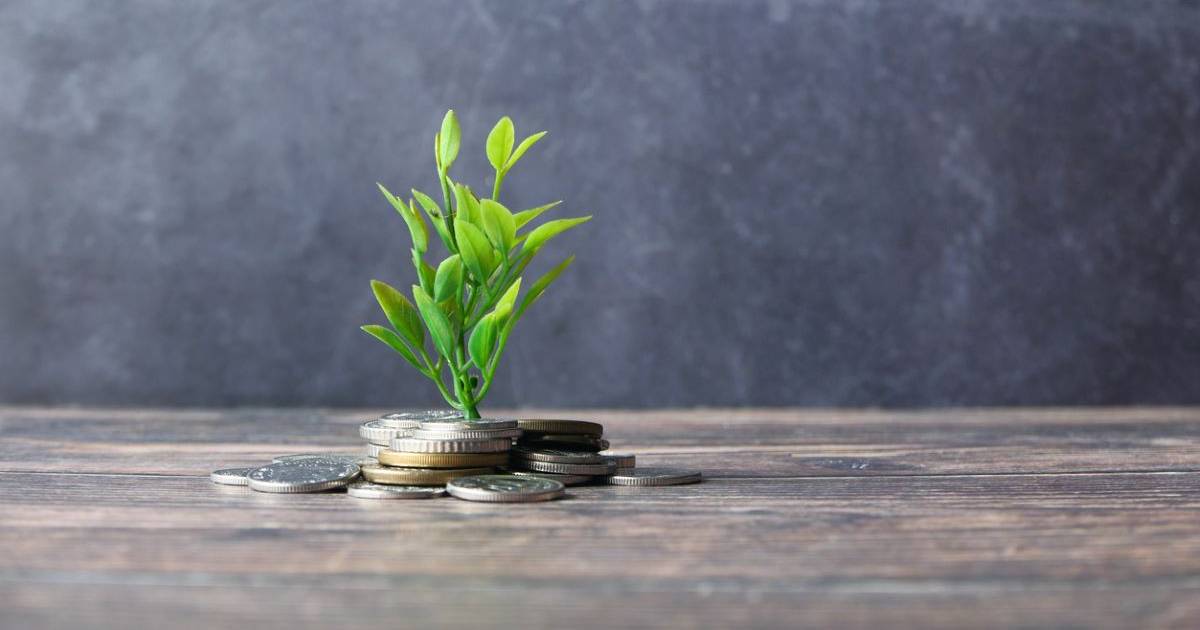 A stack of coins sprouting a plant