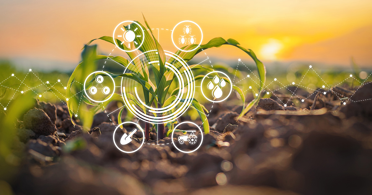 A plant sprouting from the ground with agriculture icons around it