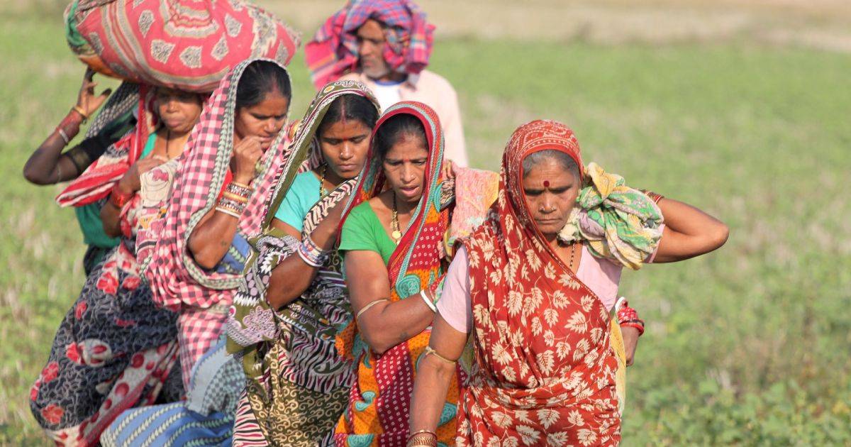 Women in India walking through a field carrying crops